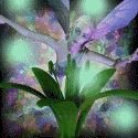twinklefairy1sm.gif